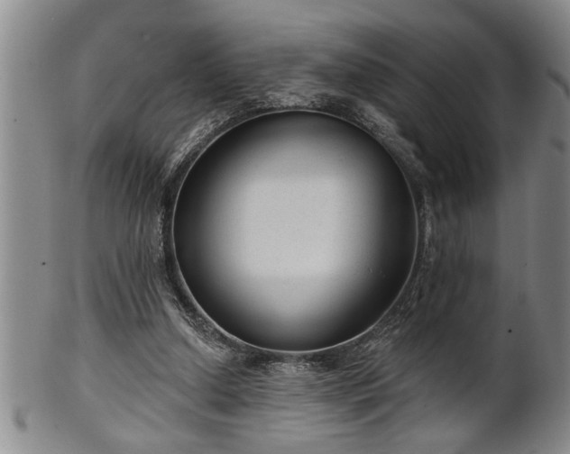 X0000102360250200808081136