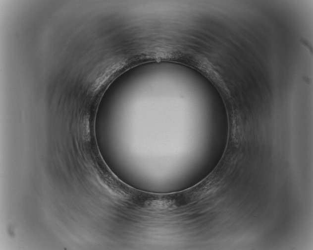 X0000102360251200808081136