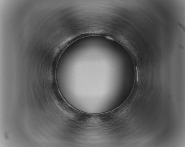 X0000102360252200808081136