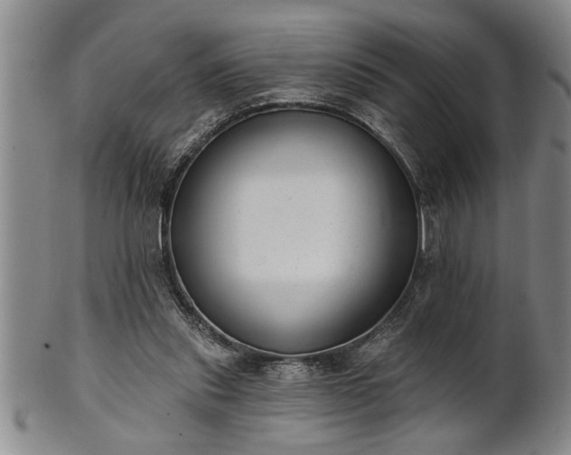 X0000102360253200808081136