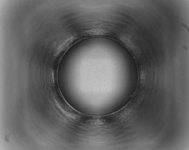 X0000102360254200808081136