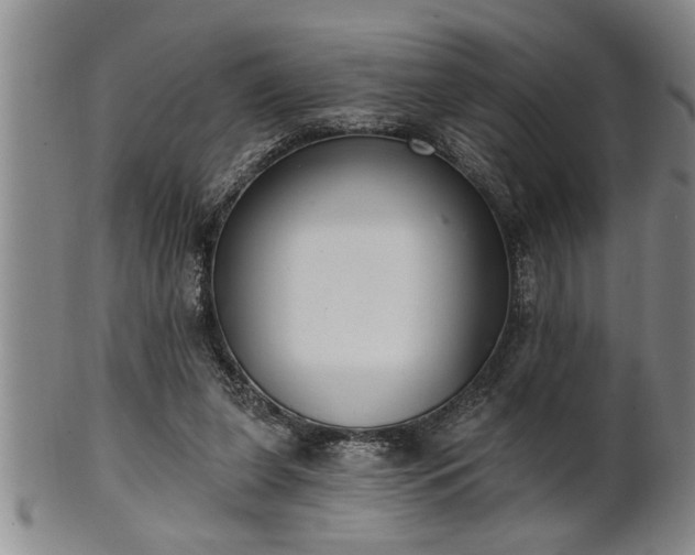 X0000102360255200808081136