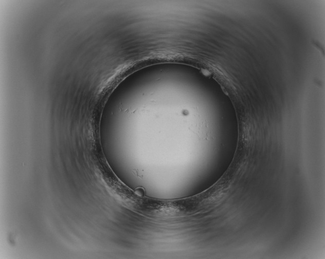 X0000102360256200808081136