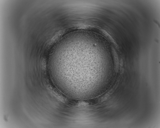 X0000102360257200808081136