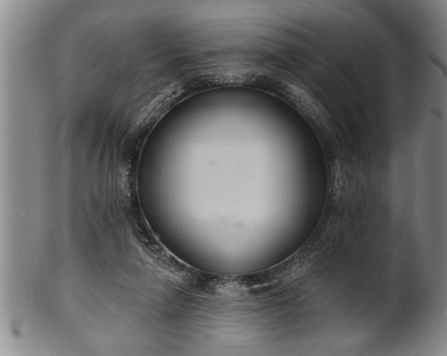 X0000102360258200808081136