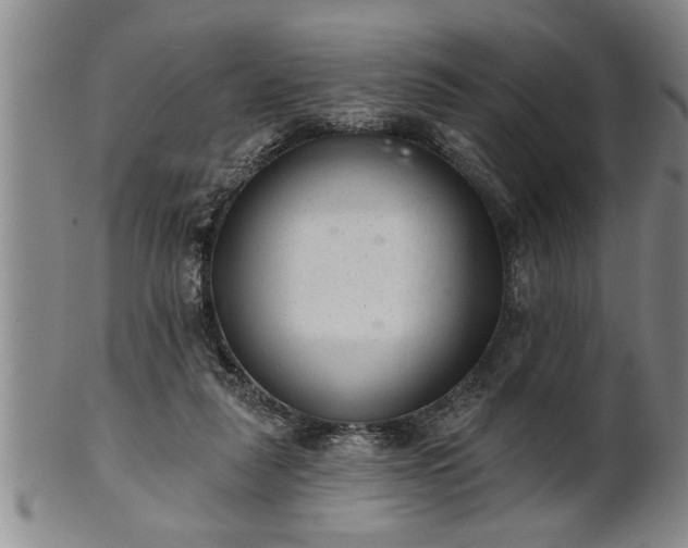 X0000102360259200808081136