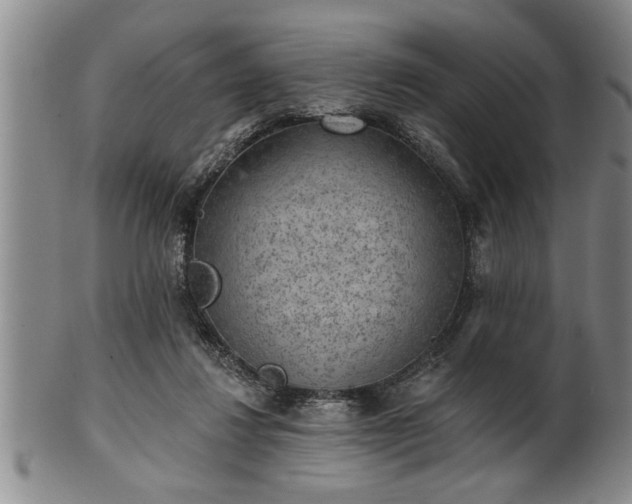 X0000102360260200808081136