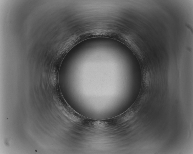 X0000102360261200808081136