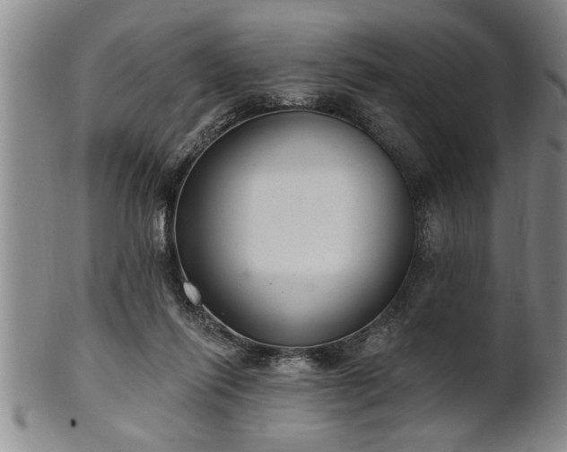 X0000102360262200808081136