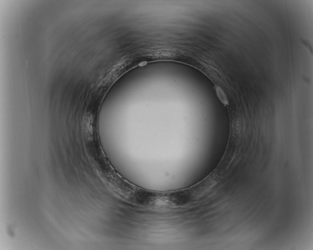 X0000102360264200808081137