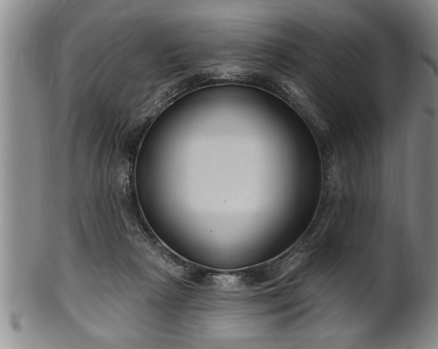 X0000102360265200808081137