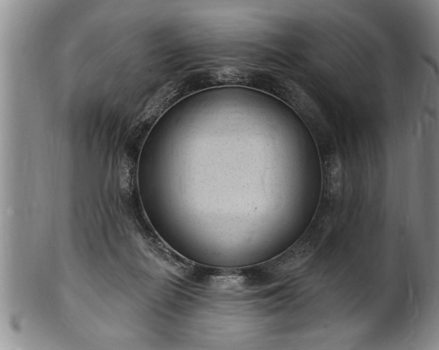 X0000102360266200808081137