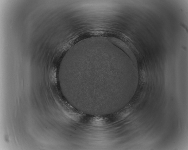 X0000102360267200808081137