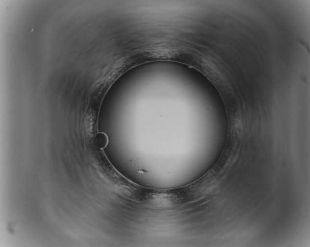 X0000102360268200808081137