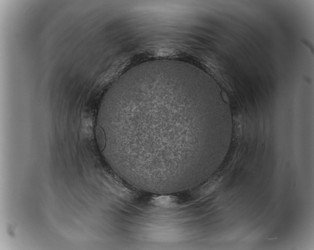 X0000102360269200808081137