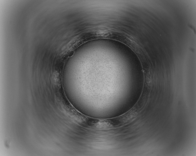 X0000102360270200808081137