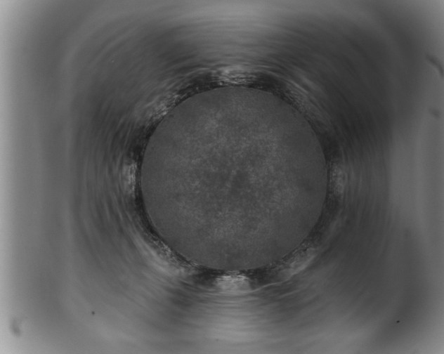 X0000102360271200808081137