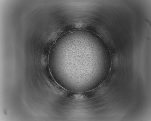 X0000102360272200808081137