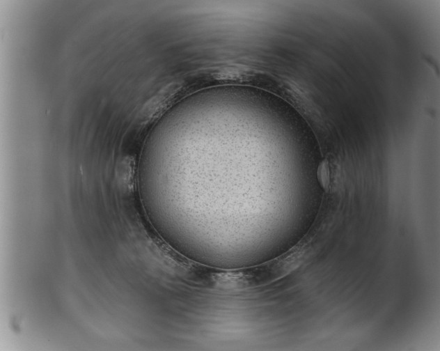 X0000102360273200808081137