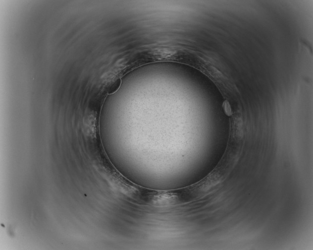 X0000102360274200808081137