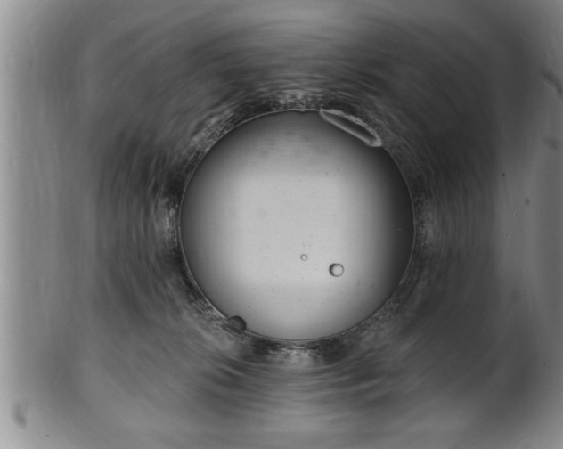 X0000102360276200808081137