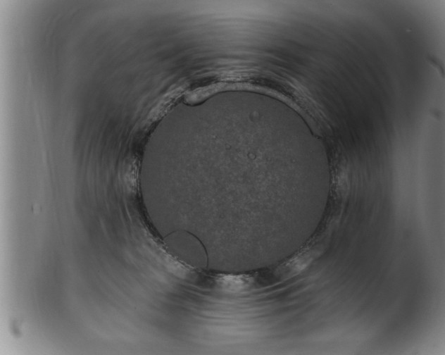 X0000102360277200808081137