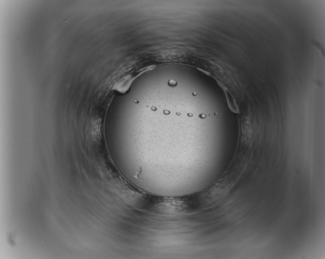 X0000102360278200808081137