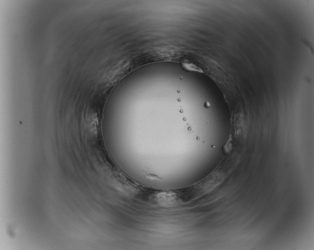 X0000102360279200808081137