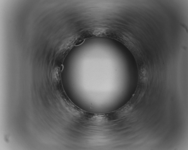 X0000102360280200808081137