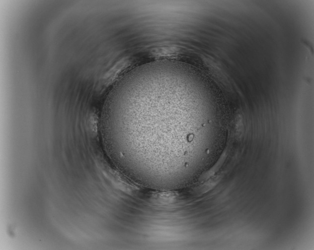 X0000102360282200808081137