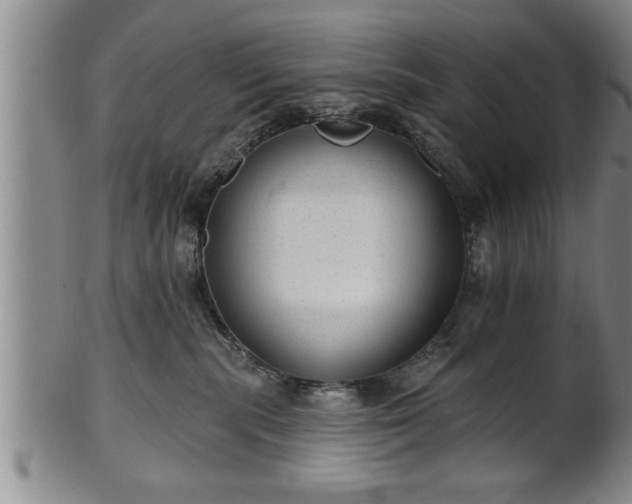 X0000102360283200808081137