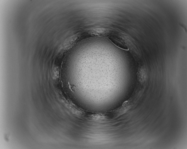 X0000102360284200808081137