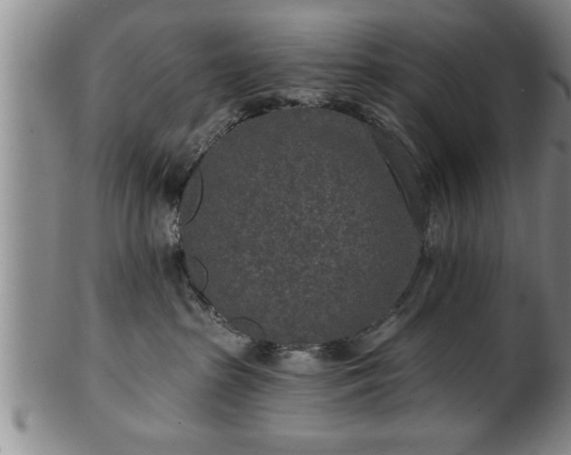 X0000102360285200808081137