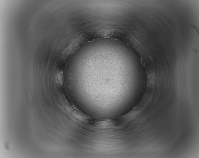 X0000102360286200808081137