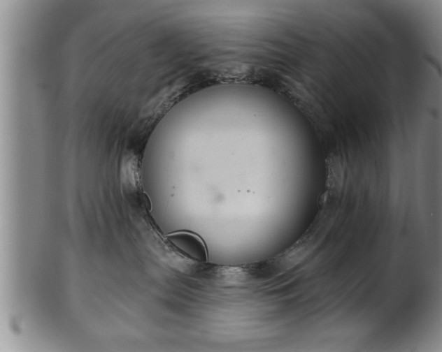 X0000102360287200808081137