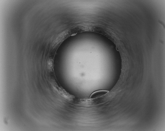 X0000102360288200808081137