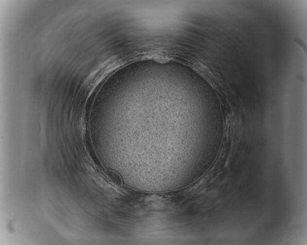 X0000102360290200808081136