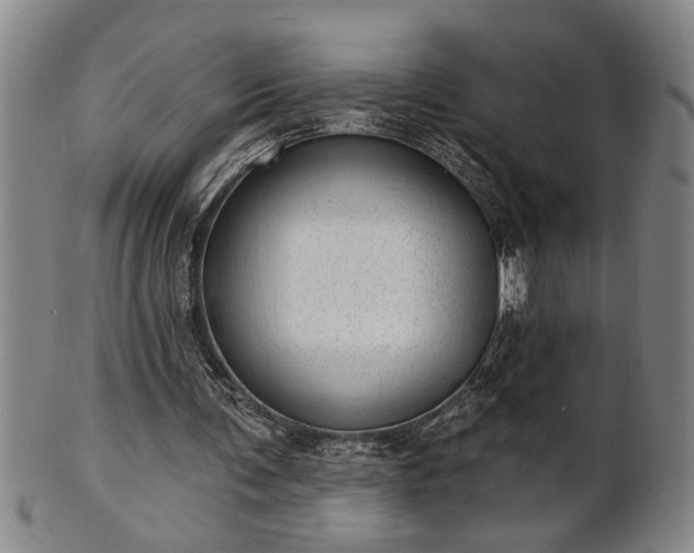 X0000102360291200808081136