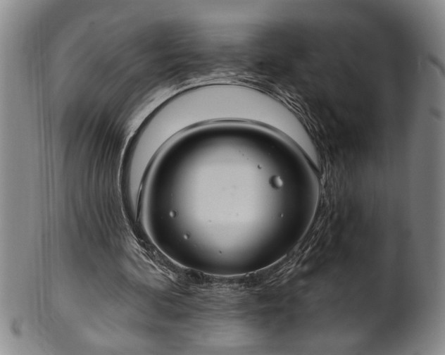 X0000102360292200808081136