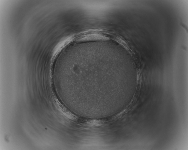 X0000102360293200808081136