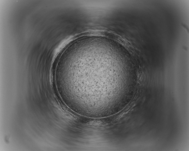 X0000102360294200808081136