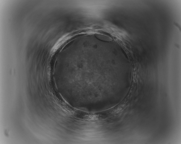 X0000102360295200808081136