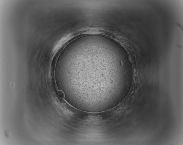 X0000102360296200808081136