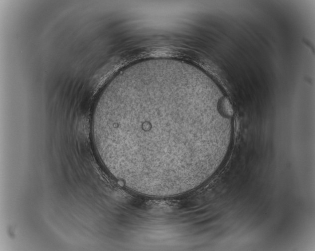 X0000102360297200808081136