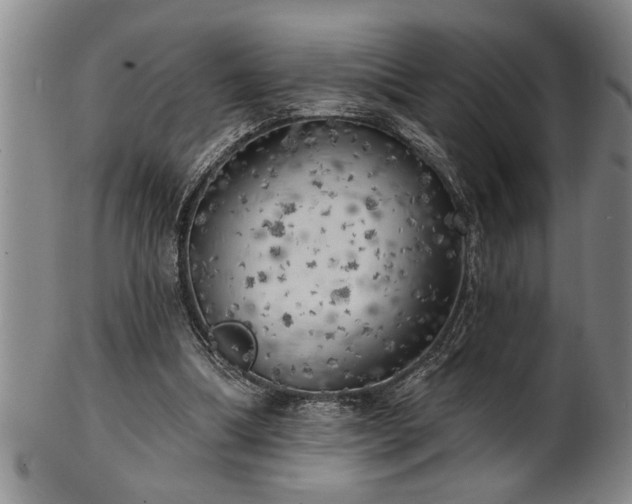 X0000102360298200808081136