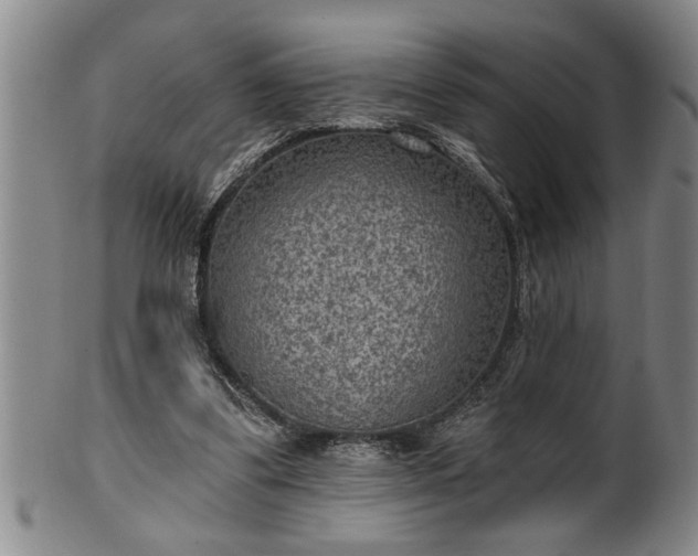 X0000102360299200808081136