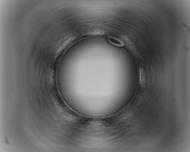 X0000102360300200808081136