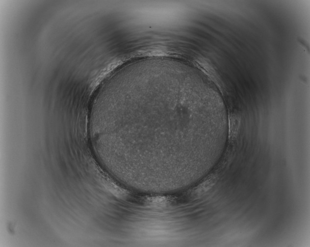 X0000102360301200808081136