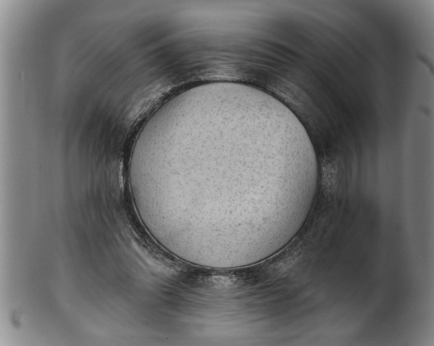 X0000102360302200808081136