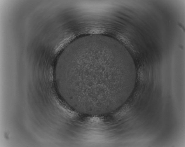 X0000102360303200808081136